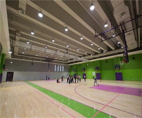 籃球木地板,洛可風情運動地板,籃球木地板品牌推薦