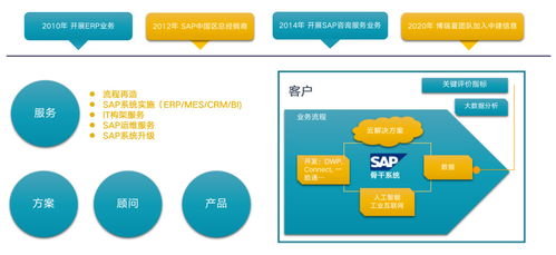 中建信息攜手SAP，解碼企業(yè)數(shù)字化未來(lái) 信息咨詢服務(wù)的新篇章